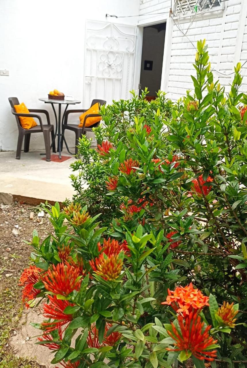 Hostal Corales Tolú Extérieur photo